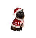 Renapyon4（個別スタンプ：36）