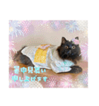 Renapyon4（個別スタンプ：40）