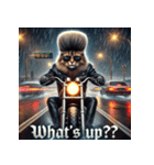 爆走！最強ネコ総長（個別スタンプ：37）