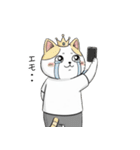 王冠猫のチートデイ（個別スタンプ：3）