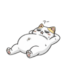 王冠猫のチートデイ（個別スタンプ：6）