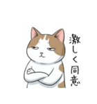 王冠猫のチートデイ（個別スタンプ：11）