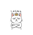 王冠猫のチートデイ（個別スタンプ：16）