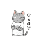 王冠猫のチートデイ（個別スタンプ：20）