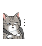 王冠猫のチートデイ（個別スタンプ：21）