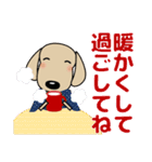 優しい気づかい ダックスフンド-犬好き 冬（個別スタンプ：9）