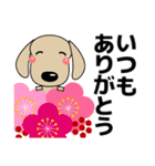 優しい気づかい ダックスフンド-犬好き 冬（個別スタンプ：16）