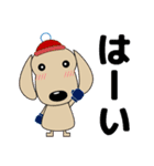 優しい気づかい ダックスフンド-犬好き 冬（個別スタンプ：20）