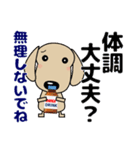 優しい気づかい ダックスフンド-犬好き 冬（個別スタンプ：32）