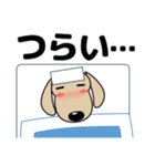 優しい気づかい ダックスフンド-犬好き 冬（個別スタンプ：34）