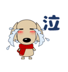 優しい気づかい ダックスフンド-犬好き 冬（個別スタンプ：35）