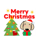 優しい気づかい ダックスフンド-犬好き 冬（個別スタンプ：37）