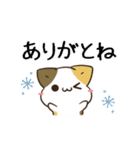 動く！毎日五月病なねこたち 冬スタンプ3（個別スタンプ：3）