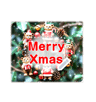 書き込める♥クマちゃんクリスマスフレーム（個別スタンプ：5）