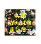 書き込める♥クマちゃんクリスマスフレーム（個別スタンプ：14）