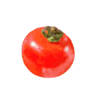 国産豚のとんかつ 【文字なし】（個別スタンプ：31）