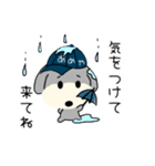 うどん好きチョトプー（個別スタンプ：17）