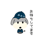 うどん好きチョトプー（個別スタンプ：24）