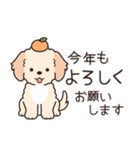 やさしいマルプー『年末年始2026』（個別スタンプ：1）