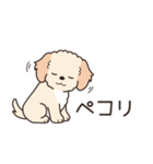 やさしいマルプー『年末年始2026』（個別スタンプ：6）