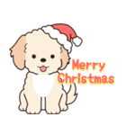 やさしいマルプー『年末年始2026』（個別スタンプ：7）