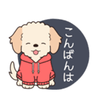 やさしいマルプー『年末年始2026』（個別スタンプ：11）