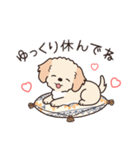 やさしいマルプー『年末年始2026』（個別スタンプ：13）