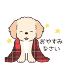 やさしいマルプー『年末年始2026』（個別スタンプ：16）