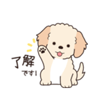 やさしいマルプー『年末年始2026』（個別スタンプ：17）