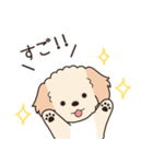 やさしいマルプー『年末年始2026』（個別スタンプ：20）