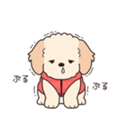 やさしいマルプー『年末年始2026』（個別スタンプ：21）