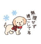 やさしいマルプー『年末年始2026』（個別スタンプ：24）