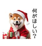 クリスマス☆柴犬（個別スタンプ：5）