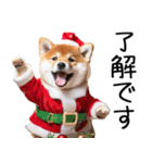 クリスマス☆柴犬（個別スタンプ：6）