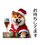 クリスマス☆柴犬（個別スタンプ：11）