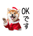 クリスマス☆柴犬（個別スタンプ：12）