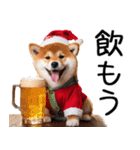 クリスマス☆柴犬（個別スタンプ：13）