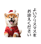 クリスマス☆柴犬（個別スタンプ：16）