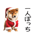 クリスマス☆柴犬（個別スタンプ：17）
