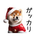 クリスマス☆柴犬（個別スタンプ：19）