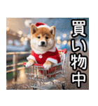 クリスマス☆柴犬（個別スタンプ：21）