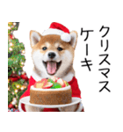 クリスマス☆柴犬（個別スタンプ：23）
