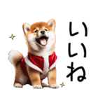 クリスマス☆柴犬（個別スタンプ：24）