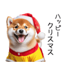 クリスマス☆柴犬（個別スタンプ：25）