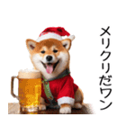クリスマス☆柴犬（個別スタンプ：26）
