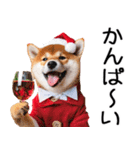 クリスマス☆柴犬（個別スタンプ：27）