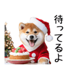 クリスマス☆柴犬（個別スタンプ：32）
