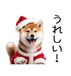 クリスマス☆柴犬（個別スタンプ：33）
