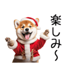 クリスマス☆柴犬（個別スタンプ：34）