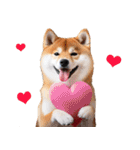 クリスマス☆柴犬（個別スタンプ：35）